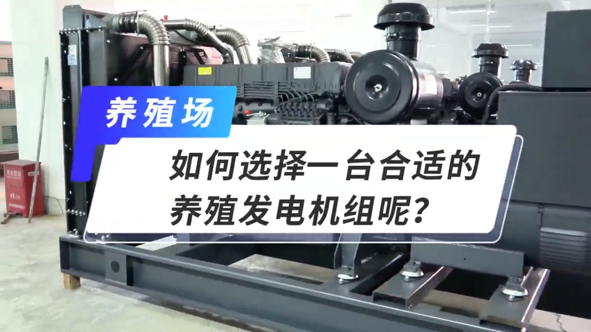 「視頻」如何選擇一臺合適的養(yǎng)殖發(fā)電機組呢？